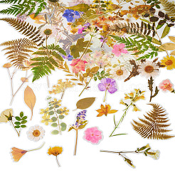 4 пакетик 4 видов самоклеящихся водонепроницаемых наклеек для растений и животных&nbsp;DIY-TA0009-84