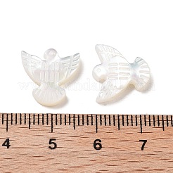 Бусины из натуральных ракушек&nbsp;BSHE-H017-02