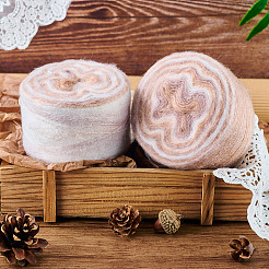 Сегментированная окрашенная пряжа для вязания&nbsp;DIY-TAC0033-03F