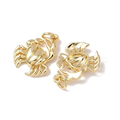 Латунные подвески&nbsp;KK-C143-46G-G02