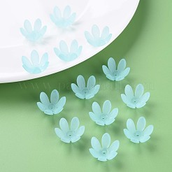 Прозрачные акриловые бусины&nbsp;MACR-S373-47-D07