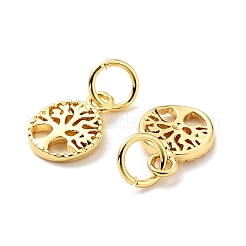 Стойки обшивки латунные подвески&nbsp;X-KK-C242-02G