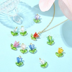 90шт 9-х цветные акриловые подвески лэмпворк&nbsp;PALLOY-CJ00048