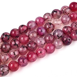 Окрашенные естественно дракон жил агат бисер пряди&nbsp;G-Q462-128A-6mm