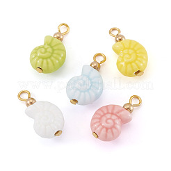 5 шт. подвески в форме фарфоровой ракушки&nbsp;PALLOY-TAC0222