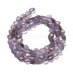 Натуральный лепидолит / пурпурный слюдяный камень бисер пряди G-P575-C01-6mm