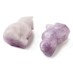 Резные фигурки из натурального лепидолита/фиолетовой слюды&nbsp;DJEW-L023-B04