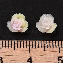 Светящаяся смола декодирует кабошоны&nbsp;RESI-K036-54