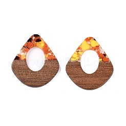 Подвески из прозрачной смолы и ореха&nbsp;RESI-T057-07M