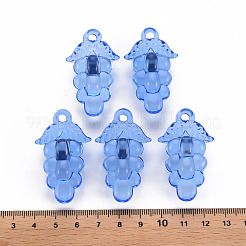 Осенняя тема прозрачные акриловые бусины&nbsp;TACR-S154-60B-940