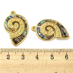 Природные пауа оболочки подвески&nbsp;X-STAS-P341-01G-01