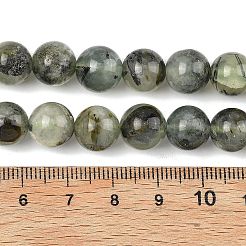 Природные пренит нитей бисера&nbsp;G-D361-02A-10mm