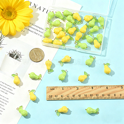 36 шт. двухцветные акриловые подвески в виде тыквы&nbsp;PALLOY-FS00068