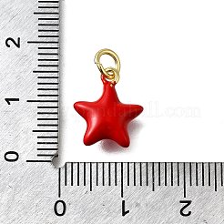 Латунные подвески из красной эмали&nbsp;KK-Z102-23G-04