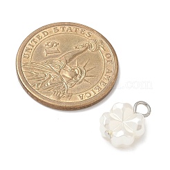 10 шт. 2-х цветные пластиковые жемчужные подвески&nbsp;PALLOY-JF04027