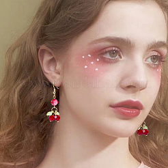 60 шт. подвески из вишневого акрила и стекла&nbsp;PALLOY-WH00017