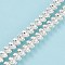 Non-magnetic Synthetic Hematite Beads Strands, Galvanic Plating(Color Retention for 1 Year), Flower, Silver Plated, 5.5x8mm, Hole: 1.2mm, about 73pcs/strand, 15.63 inch(39.7cm)