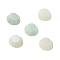 Natural Flower Amazonite Cabochons, Faceted, Half Round, 6~6.5x2.5~3mm