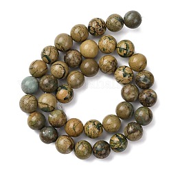 Натуральные зеленые бусины с прожилками дракона&nbsp;G-D098-A01-10mm