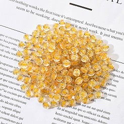 Прозрачные акриловые бусины&nbsp;TACR-YW0001-12A