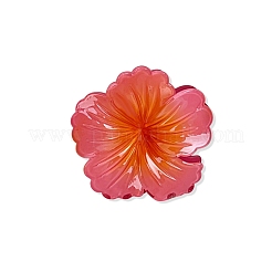 Двухцветные пластиковые заколки для волос с когтями&nbsp;PW-WG9B72A-02