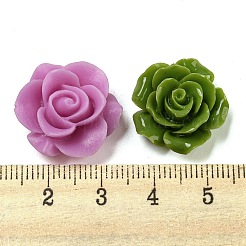 Непрозрачная смола декодирует кабошоны&nbsp;RESI-P037-01