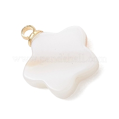 5 шт. 5 варианта подвесок из натуральных ракушек с латунными креплениями&nbsp;PALLOY-JF04892