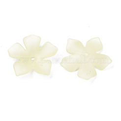 Прозрачные акриловые бусины&nbsp;MACR-S373-119-D03