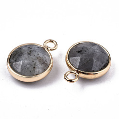 Природные подвески лабрадорита&nbsp;G-T131-101A