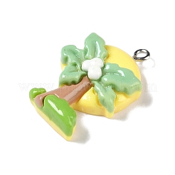 Подвески из непрозрачной смолы на тему океана&nbsp;RESI-S403-02F