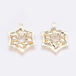 Латунные подвески&nbsp;LS-KK-I622-13G-B-NF