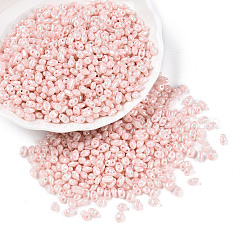 Непрозрачные цвета блестящие стеклянные бусины&nbsp;SEED-T006-02G