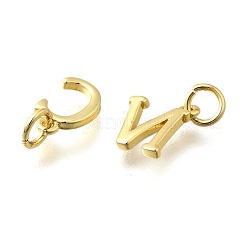 26 шт. Латунные подвески&nbsp;KK-R218-08G