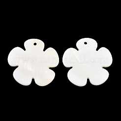 Подвески из раковины&nbsp;PBB180Y