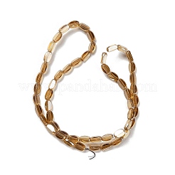 Стеклянные бусины с гальваническим покрытием &nbsp;EGLA-P064-01A-PL01