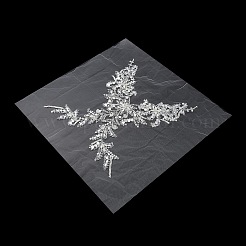 Аппликации из цветов из страз&nbsp;PATC-WH20008-05