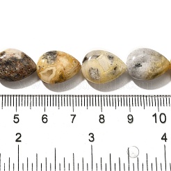 Природные сумасшедший агат бисер нитей&nbsp;G-P561-B11-01