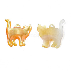 Подвески из натуральной желтой оболочки&nbsp;SSHEL-N027-123-01