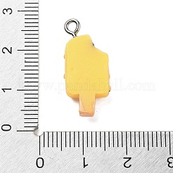 Подвески из смолы&nbsp;RESI-C053-01A