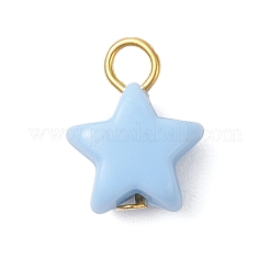 Непрозрачные акриловые подвески&nbsp;PALLOY-JF04199-01