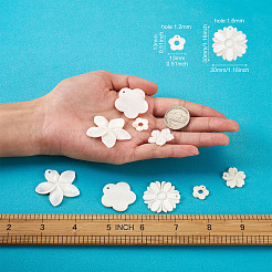 Природные подвески оболочки пресноводных&nbsp;SSHEL-KS0001-01