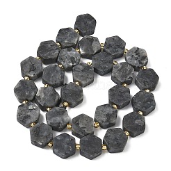 Натуральные нити бус из ларвикита&nbsp;G-A291-A02-01