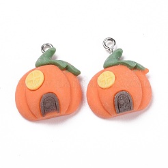 Подвески из непрозрачной смолы&nbsp;RESI-G028-07P