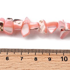 Нити бусин из натуральных трохоидных/трохус ракушек&nbsp;SHEL-B003-02C