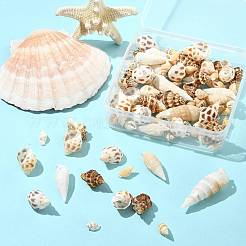 103.8 г подвески из натуральной спиральной ракушки в двух стилях&nbsp;SSHEL-FS0001-08