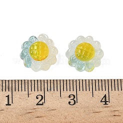 Прозрачные бусины из смолы&nbsp;RESI-D312-04A