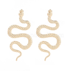 Серьги сплава&nbsp;EJEW-R021-03KCG-03