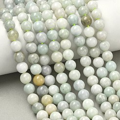 Натуральный майяр нефрит / бурманский нефрит бисерные пряди&nbsp;G-K310-C05-8mm-01