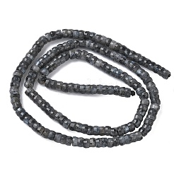 Натуральные нити бус из ларвикита&nbsp;G-A299-A04-01