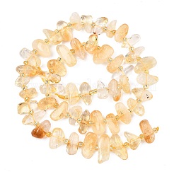 Природный цитрин бисер нитей&nbsp;G-F821-A01-01